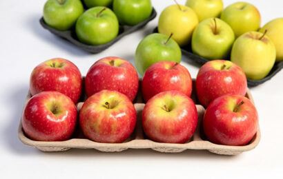 Как высокоточные-формы могут улучшить компактность упаковки из целлюлозы?