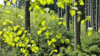 Компания по развитию инноваций Hesheng борется за устойчивое развитие в мире ...